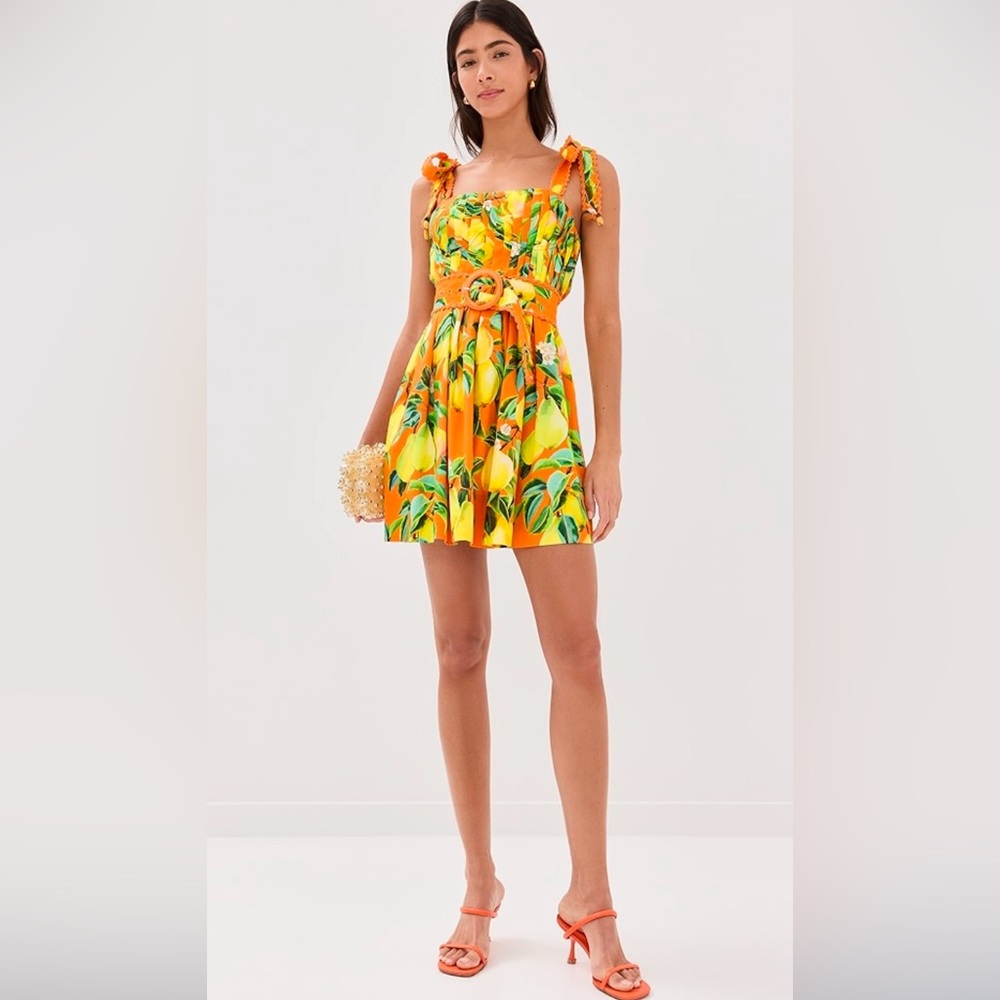 FARM RIO
Crocheted lace-trimmed printed cotton mini dress